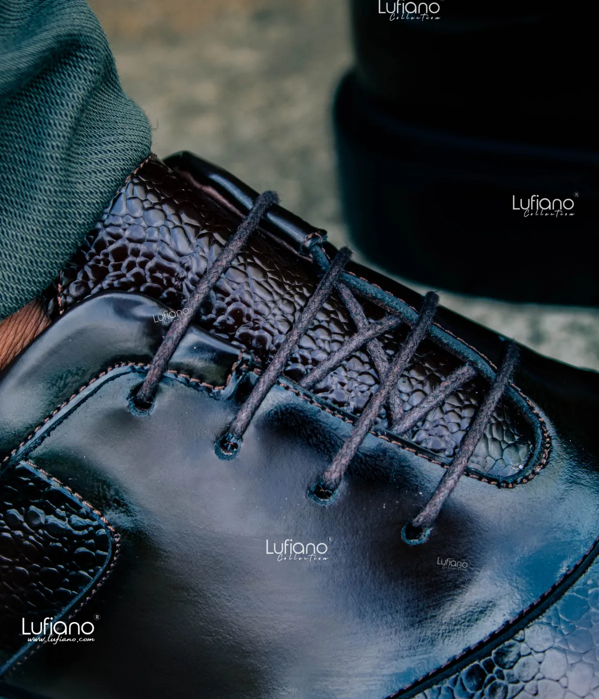 204  Lufiano Lace Up: Brown